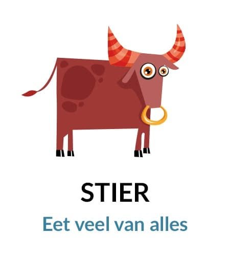 Stier