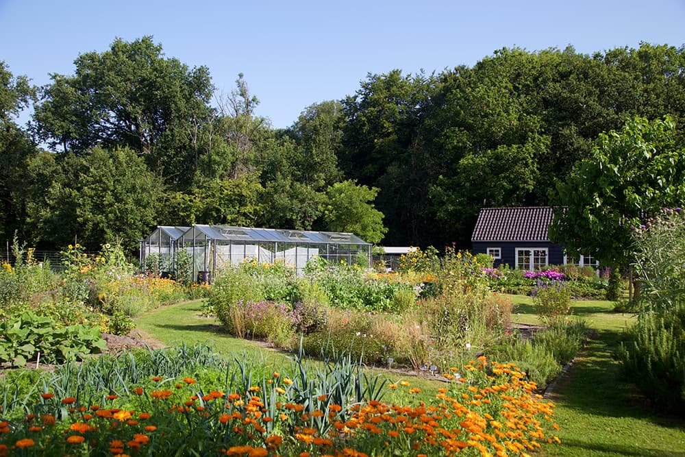 Moestuin-Bij-Qunis-Heemstede