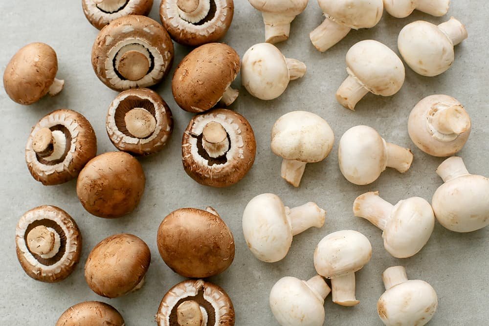 Champignons soorten