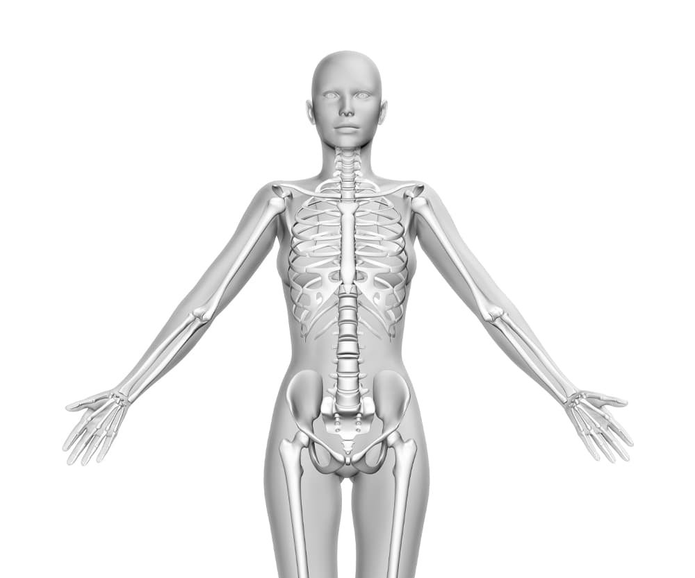 Eiwitten voor de opbouw van botten