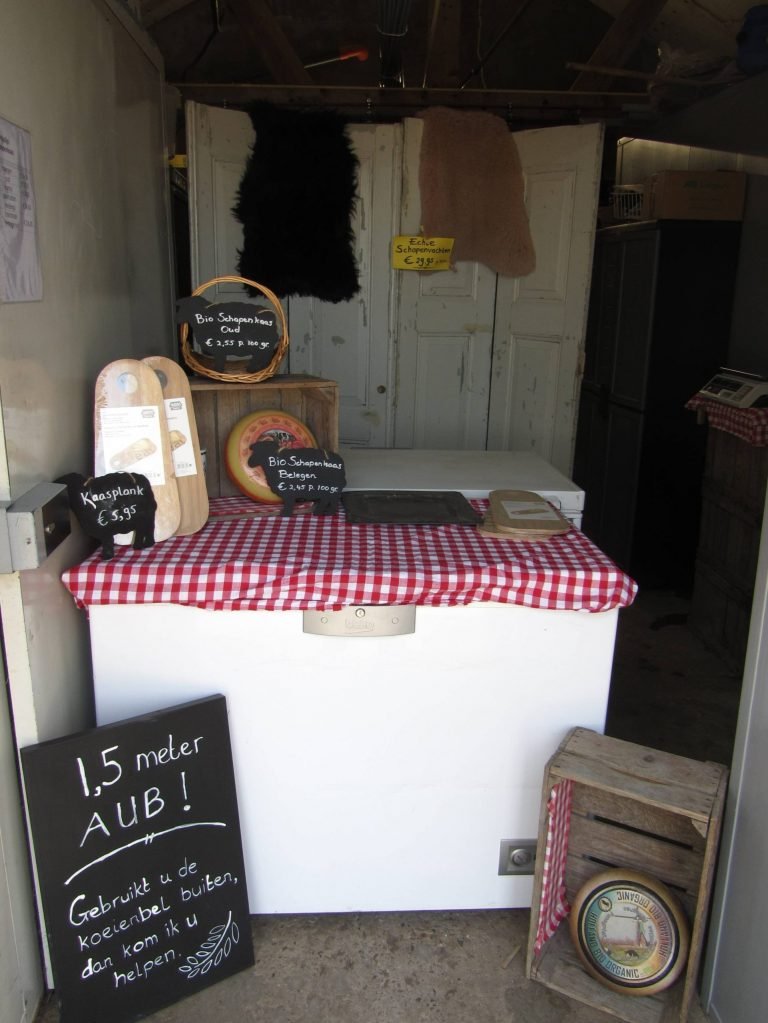 6.1 1 scaled 768x1023