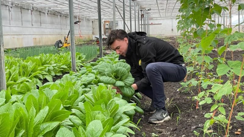 Biologische winkel 30.3 800x450