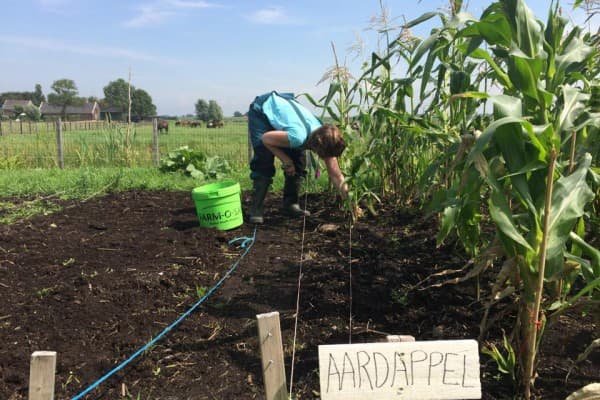 Biologische winkel 36.2