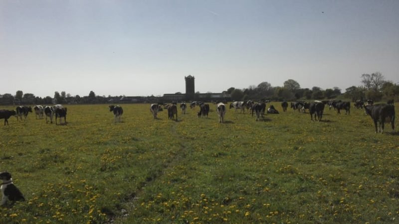 Biologische winkel 37.1 800x450