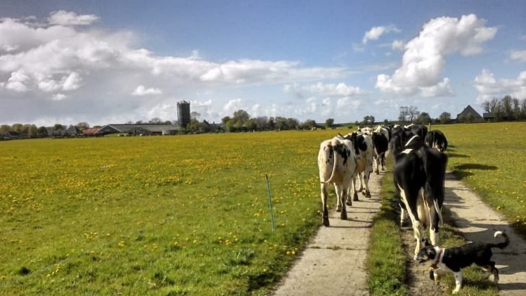 Biologische winkel 37.2 768x433