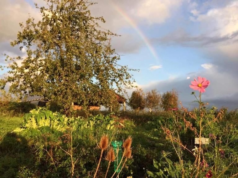 Biologische winkel 42.1 768x576