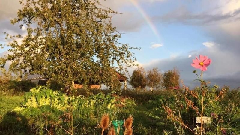 Biologische winkel 42.1 800x450