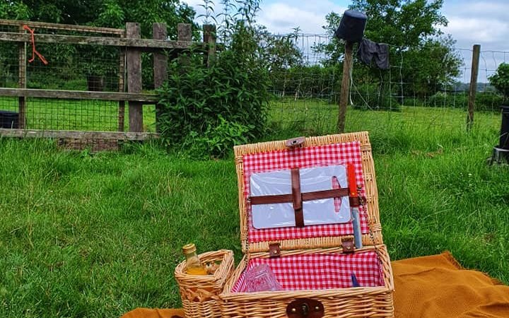 Biologische winkel 42.3 720x450