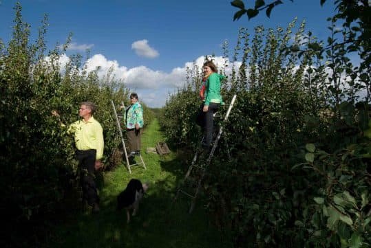 Biologische winkel 45.1