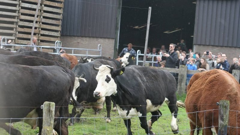 Biologische winkel 8.2 800x450