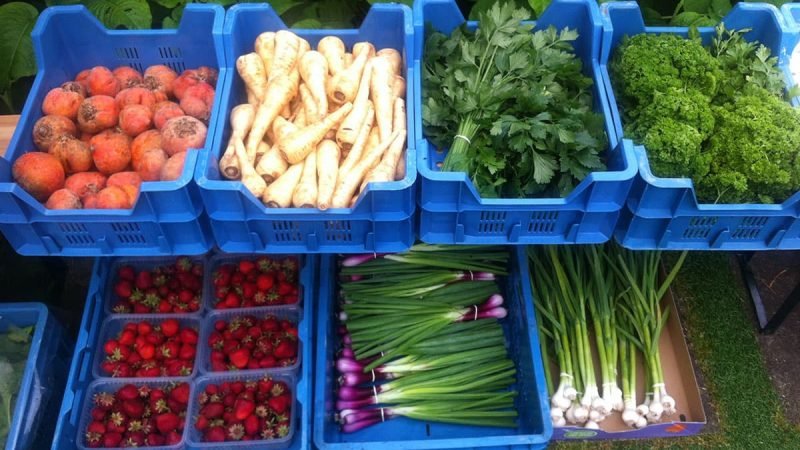 Groente osdorp streekproducten 800x450