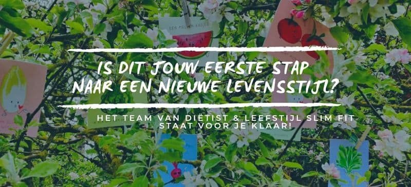 Dietist Leefstijl Slim Fit 1 1 800x365
