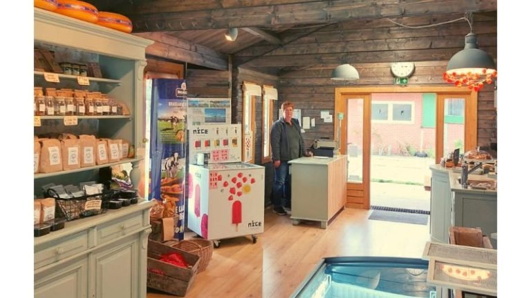 winkel vanuit de achterdeur 1 800x450 1 768x432