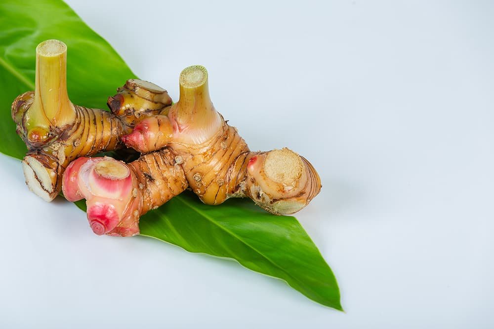 Galangal wortel