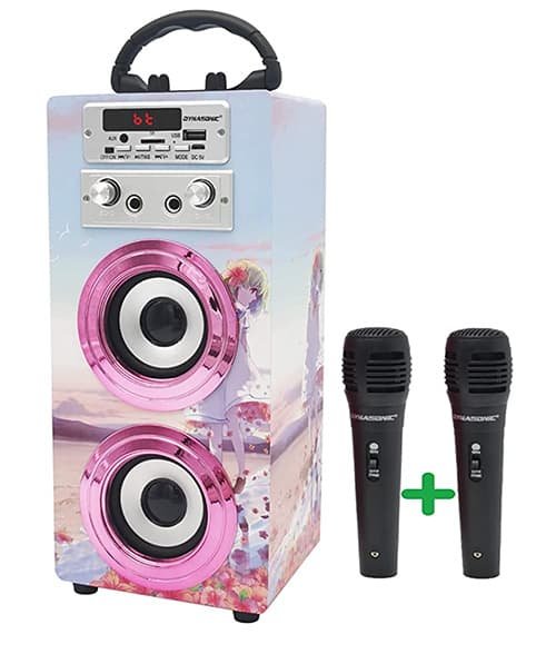 Karaoke set themafeest