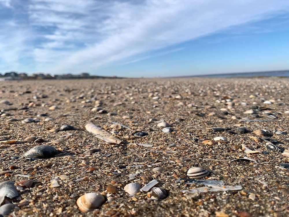 Noordwijk Zandvoort aan Zee wandelen