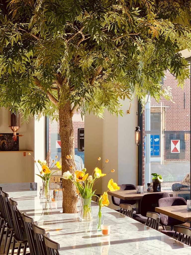 Restaurants in Zandvoort in het centrum