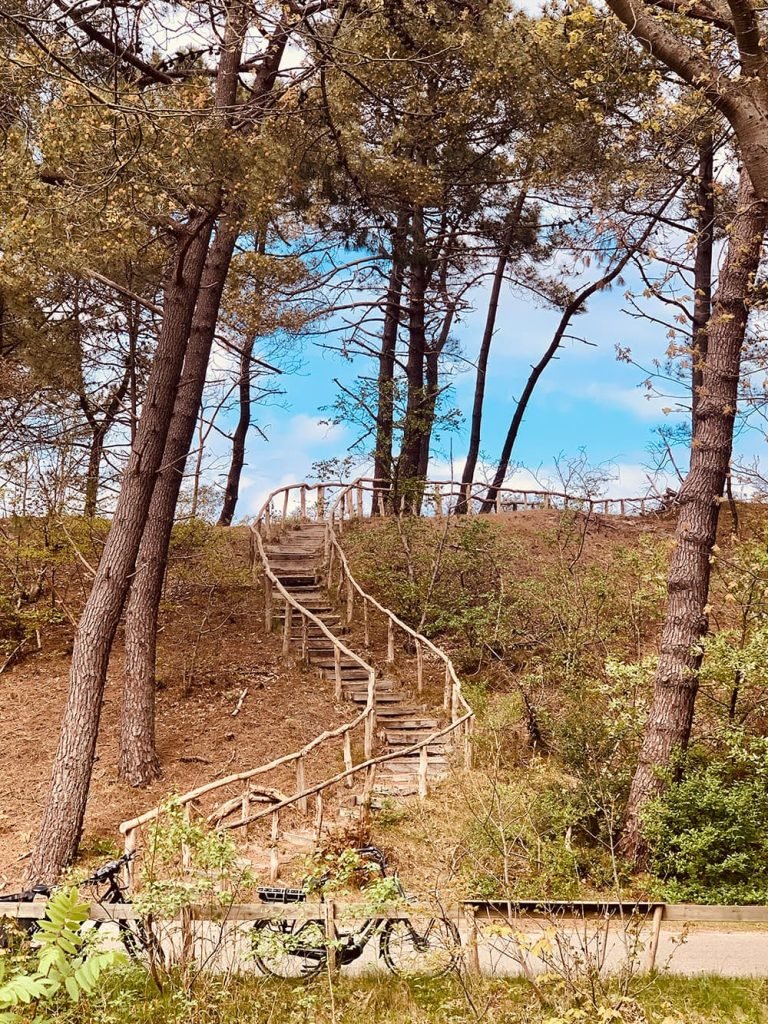 Schoorlse duinen fietsen in Noord-Holland