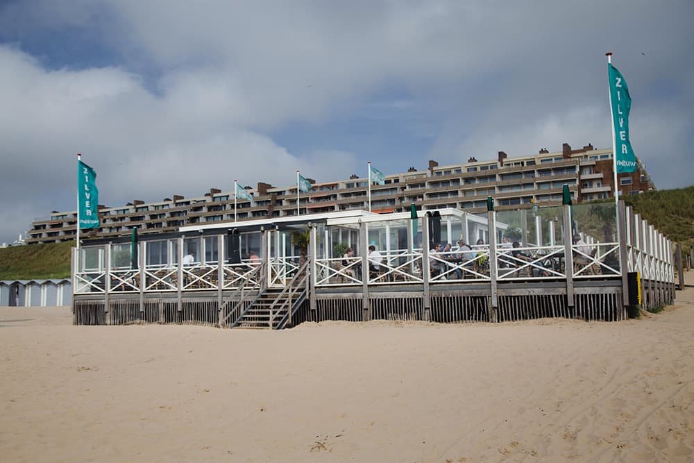 Zilvermeeuw Egmond aan Zee strandpaviljoen