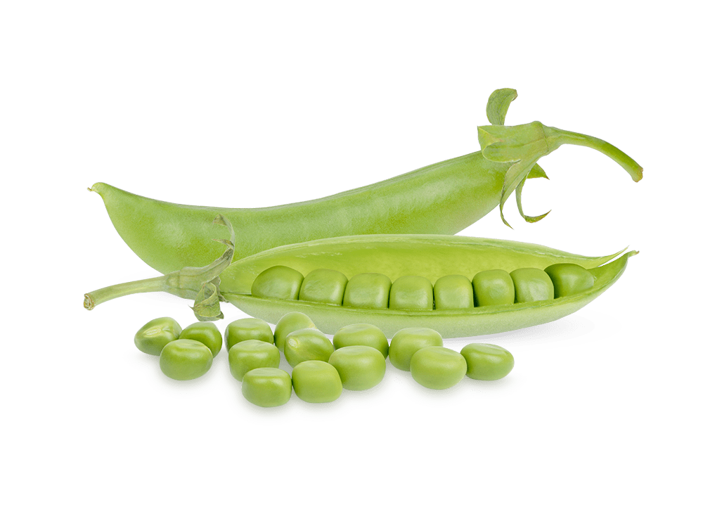 Peul en zaadvruchten