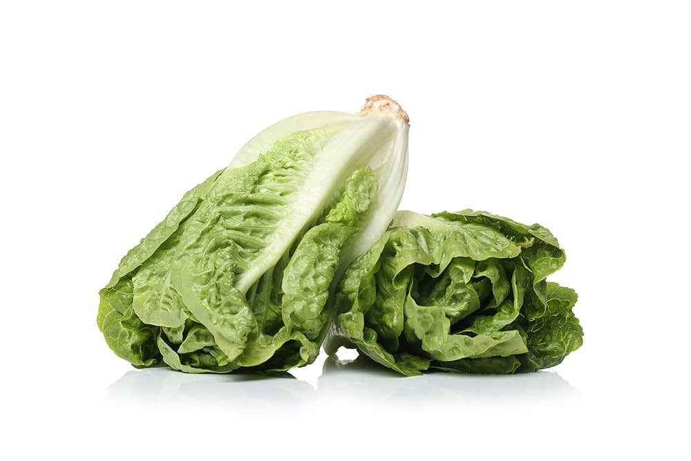 Romaine sla