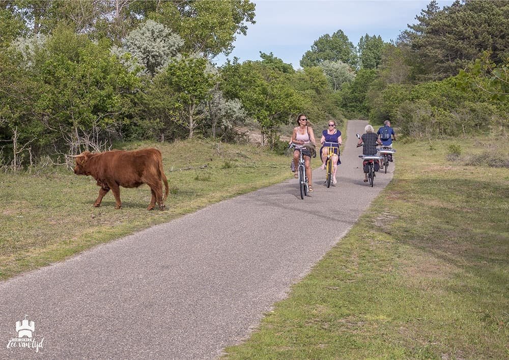 Heemskerk duinen en strand