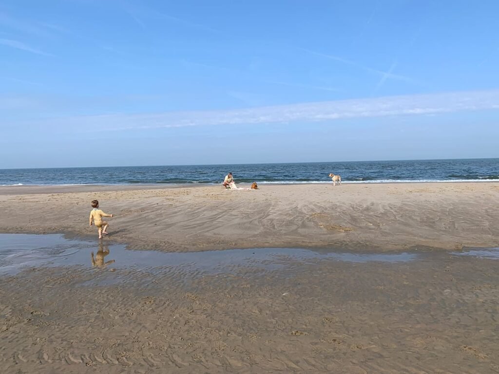 Strand Heemskerk