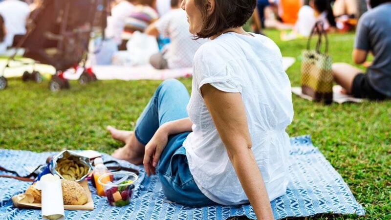 Succesvolle park picknick