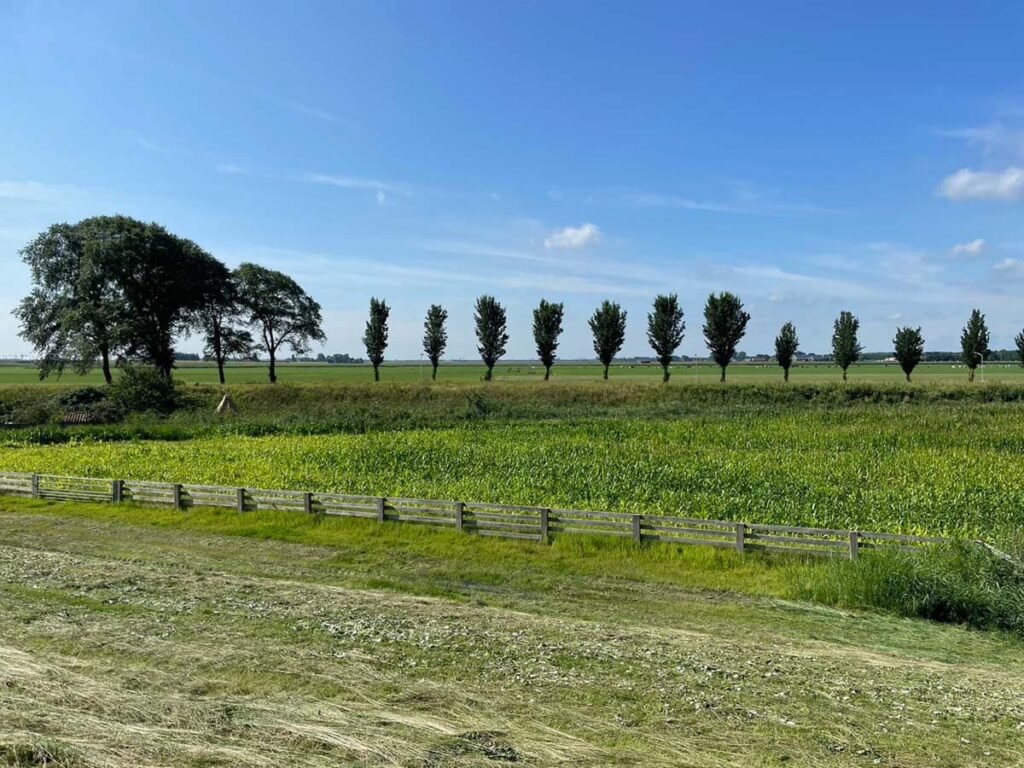 Nederlands platteland Laag Holland
