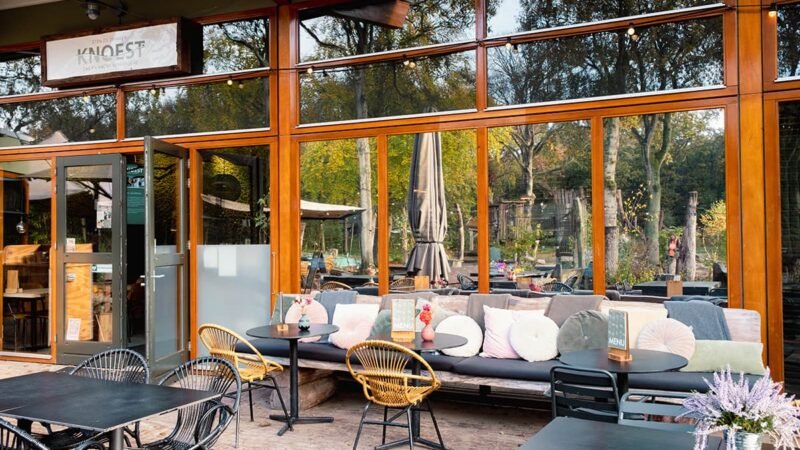 Knoest Castricum 800x450